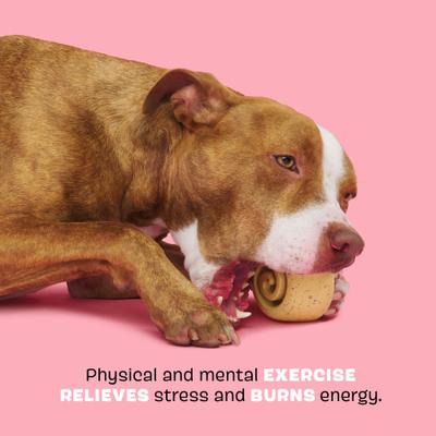 Show full view: BARK Super Chewer Cinamutt Roll Tough Treat Dispensing Dog Chew Toy, Brown slide 3 of 7