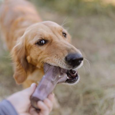 Show full view: BARK Super Chewer Fall Fetch Stick Tough Dog Chew Toy, Brown slide 5 of 9