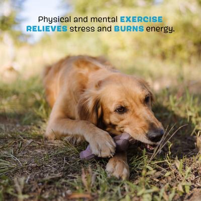 Show full view: BARK Super Chewer Fall Fetch Stick Tough Dog Chew Toy, Brown slide 4 of 9