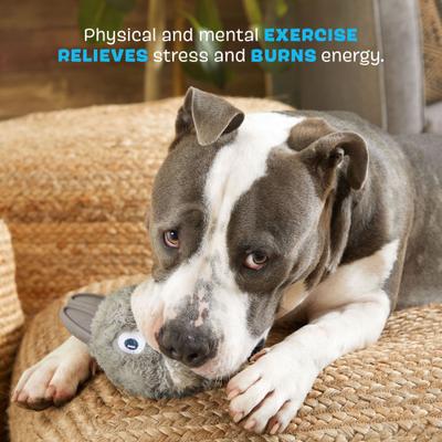 Show full view: BARK Super Chewer Hare Raiser 2-in-1 Plush Exterior with Hard Core Tough Treat Dispensing Dog Chew Toy, Gray slide 3 of 8