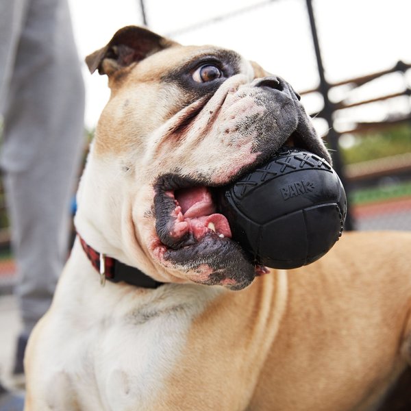 BARK Super Chewer Mutt'sel Ball for Aggressive Chewers Durable Dog Chew Toy, Black, Large