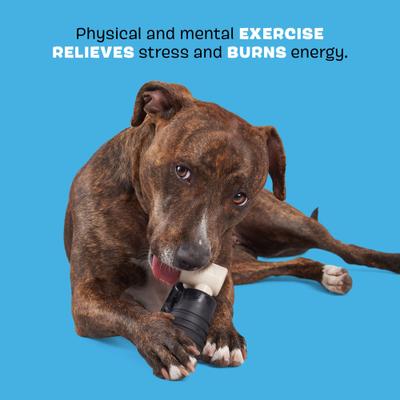 Show full view: BARK Super Chewer Paw Hand Gripper Rubber for Aggressive Chewers Squeaky Dog Chew Toy, Gray, Small/Medium slide 3 of 8