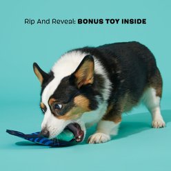 BARK Super Chewer Rad Herring 2-in-1 Plush Exterior with Hard Core Squeaky Tough Dog Chew Toy, Blue slide 2 of 7