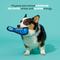 Show in main carousel: BARK Super Chewer Rad Herring 2-in-1 Plush Exterior with Hard Core Squeaky Tough Dog Chew Toy, Blue slide 3 of 8