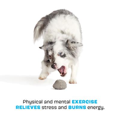 Show full view: BARK Super Chewer Sven the Hedgie for Aggressive Chewers Dog Chew Toy, Medium/Large slide 4 of 9