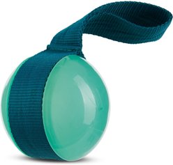 BARK Super Chewer Tailspin Tough Dog Chew Toy, Teal