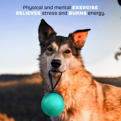 Show full view: BARK Super Chewer Tailspin Tough Dog Chew Toy, Teal slide 3 of 8