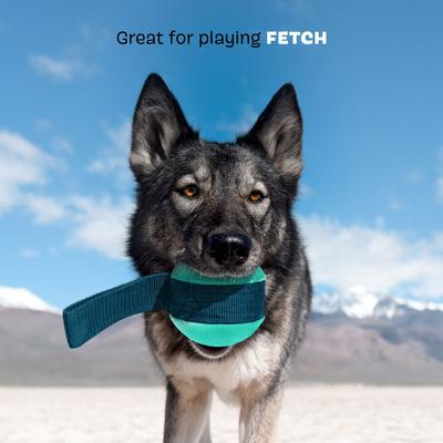 Show full view: BARK Super Chewer Tailspin Tough Dog Chew Toy, Teal slide 4 of 8