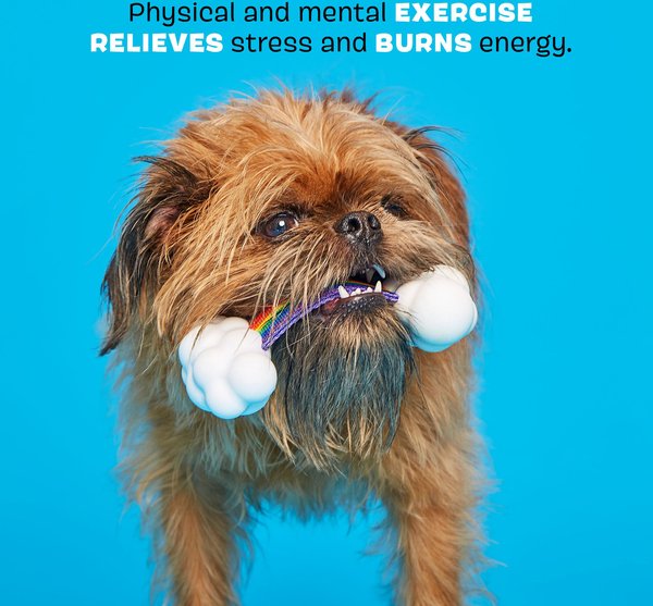 Show full view: BARK Super Chewer TOY G BIV Tough Dog Tug Toy slide 3 of 8