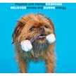 Show in main carousel: BARK Super Chewer TOY G BIV Tough Dog Tug Toy slide 3 of 8