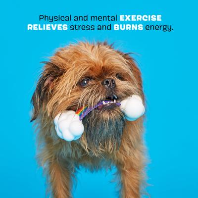 Show full view: BARK Super Chewer TOY G BIV Tough Dog Tug Toy slide 3 of 8