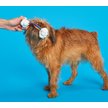 Show in main carousel: BARK Super Chewer TOY G BIV Tough Dog Tug Toy slide 4 of 8