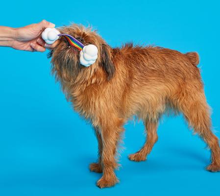 Show full view: BARK Super Chewer TOY G BIV Tough Dog Tug Toy slide 4 of 8