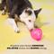 Show in main carousel: BARK Super Chewer Treats n' Sweets Gumdrop Tough Treat Dispensing Dog Toy, Pink, Medium/Large slide 3 of 8