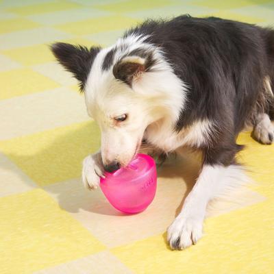 Show full view: BARK Super Chewer Treats n' Sweets Gumdrop Tough Treat Dispensing Dog Toy, Pink, Medium/Large slide 4 of 8