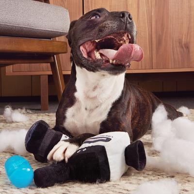 Show full view: BARK Supper Ate Camcorder Video Camera Squeaky Plush Dog Chew Toy, Large slide 4 of 8