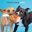 Show in main carousel: BARK Tavern Turkey Leg Squeaky Plush Dog Toy, Brown slide 4 of 8