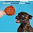 Show in main carousel: BARK Tavern Turkey Leg Squeaky Plush Dog Toy, Brown slide 3 of 8