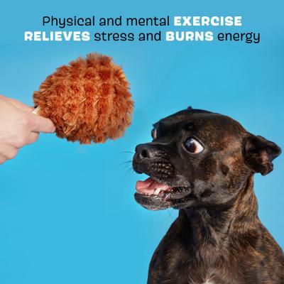 Show full view: BARK Tavern Turkey Leg Squeaky Plush Dog Toy, Brown slide 3 of 8