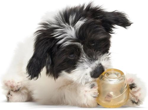 Show full view: BARK Tipsy Toast Glass Tough Treat Dispensing Dog Chew Toy, Brown, Large slide 7 of 10