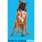 Show in main carousel: BARK Tomutto Soup Tough Dog Chew Toy, Red, Large slide 4 of 8
