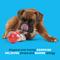 Show in main carousel: BARK Tomutto Soup Tough Dog Chew Toy, Red, Large slide 3 of 8