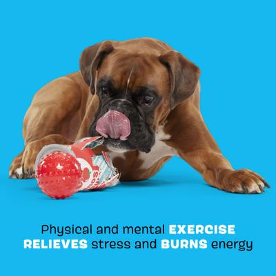 Show full view: BARK Tomutto Soup Tough Dog Chew Toy, Red, Large slide 3 of 8