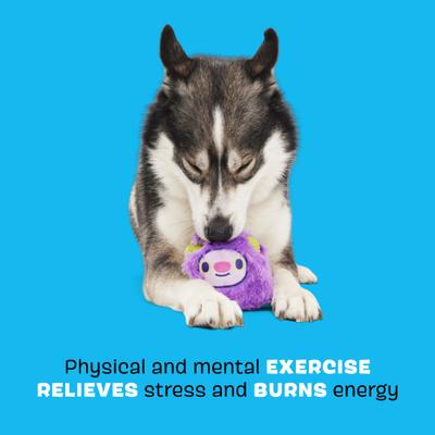 Show full view: BARK Torbert the Troll Tough Dog Chew Toy, Purple, Large slide 3 of 8