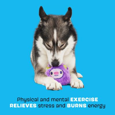 Show full view: BARK Torbert the Troll Tough Dog Chew Toy, Purple, Small slide 3 of 8