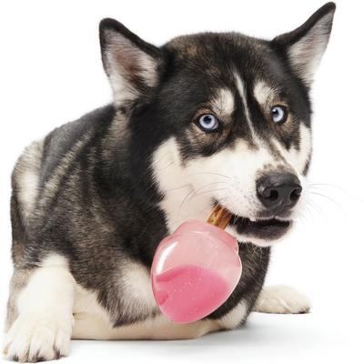 Show full view: BARK Treat Caster Potion Tough Treat Dispensing Dog Chew Toy, Red Large slide 6 of 9