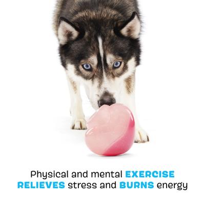 Show full view: BARK Treat Caster Potion Tough Treat Dispensing Dog Chew Toy, Red Large slide 3 of 9