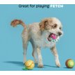 Show in main carousel: BARK Tropicatch Fruit Ball Squeaky Plush Dog Toy, Small slide 4 of 9