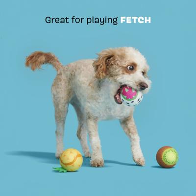Show full view: BARK Tropicatch Fruit Ball Squeaky Plush Dog Toy, Small slide 5 of 10