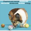 Show in main carousel: BARK Tropicatch Fruit Ball Squeaky Plush Dog Toy, Small slide 3 of 9