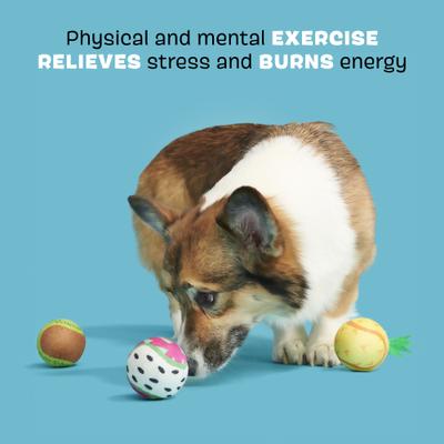 Show full view: BARK Tropicatch Fruit Ball Squeaky Plush Dog Toy, Small slide 4 of 10