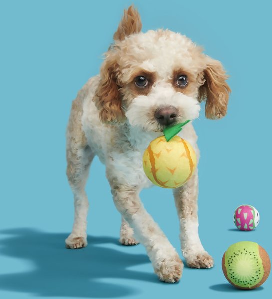 Show full view: BARK Tropicatch Fruit Ball Squeaky Plush Dog Toy, Small slide 6 of 9