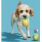 Show in main carousel: BARK Tropicatch Fruit Ball Squeaky Plush Dog Toy, Small slide 7 of 10
