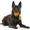 Show in main carousel: BARK Tug Measure Tough Dog Tug Toy, Orange, Large slide 7 of 10