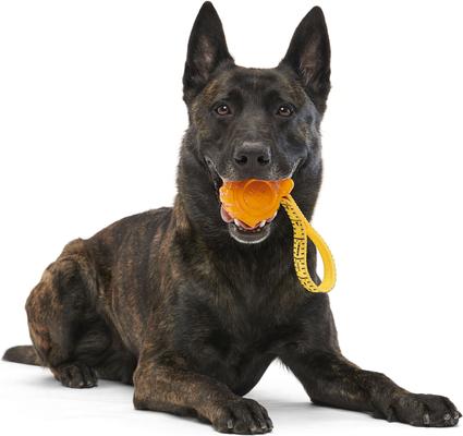 Show full view: BARK Tug Measure Tough Dog Tug Toy, Orange, Large slide 7 of 10