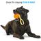 Show in main carousel: BARK Tug Measure Tough Dog Tug Toy, Orange, Large slide 5 of 10