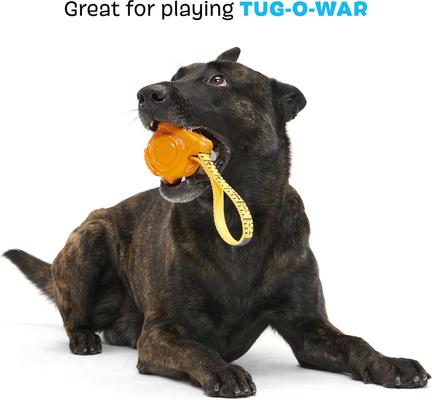 Show full view: BARK Tug Measure Tough Dog Tug Toy, Orange, Large slide 5 of 10