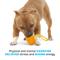 Show in main carousel: BARK Tug Measure Tough Dog Tug Toy, Orange, Large slide 4 of 10