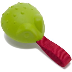 BARK Tug Tied Toad & Fetch Tough Dog Tug Toy, Green, Large