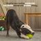 Show in main carousel: BARK Tug Tied Toad & Fetch Tough Dog Tug Toy, Green, Large slide 3 of 8