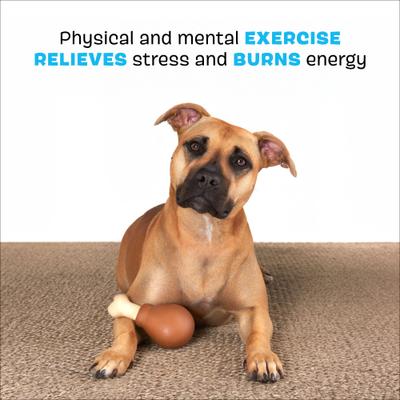 Show full view: BARK Turkey Drum Stick Dog Chew Toy, Brown, Large slide 3 of 9