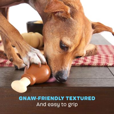 Show full view: BARK Turkey Drum Stick Dog Chew Toy, Brown, Small slide 4 of 9