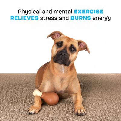 Show full view: BARK Turkey Drum Stick Dog Chew Toy, Brown, Small slide 3 of 9