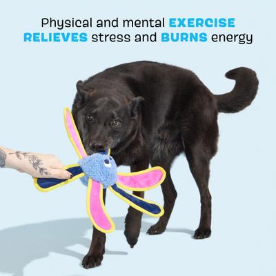 Show full view: BARK Twirdle Interactive Squeaky Plush Dog Toy slide 3 of 9