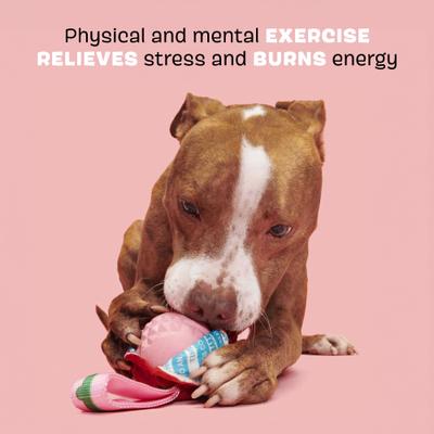 Show full view: BARK Valentine's Rose Tough Dog Tug Toy, Red, Medium slide 4 of 10