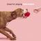 Show in main carousel: BARK Valentine's Rose Tough Dog Tug Toy, Red, Medium slide 5 of 10